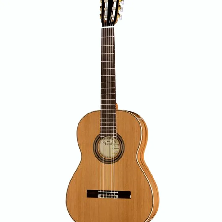 Ortega R20GRG-L