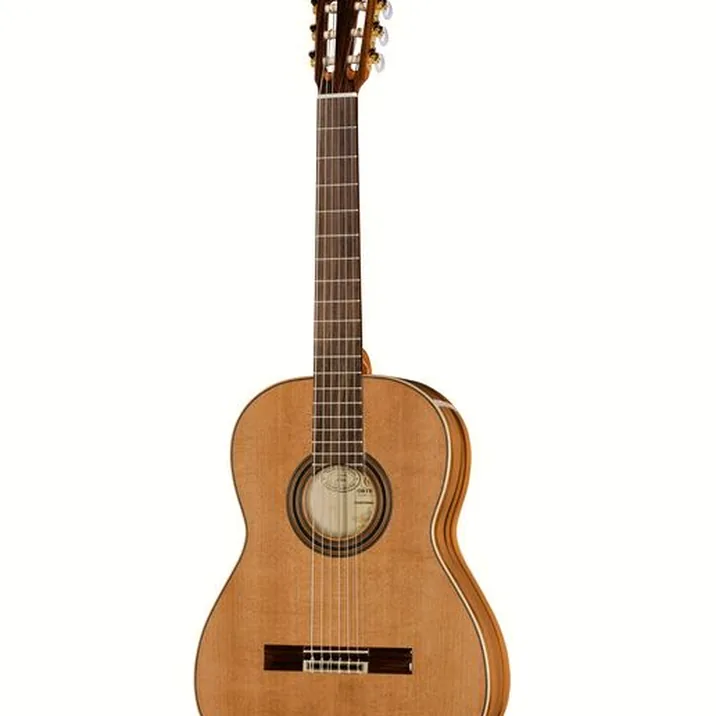 Ortega R20GSNRG