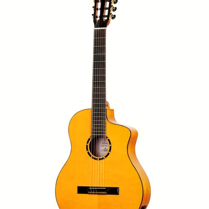 Ortega RCE170F