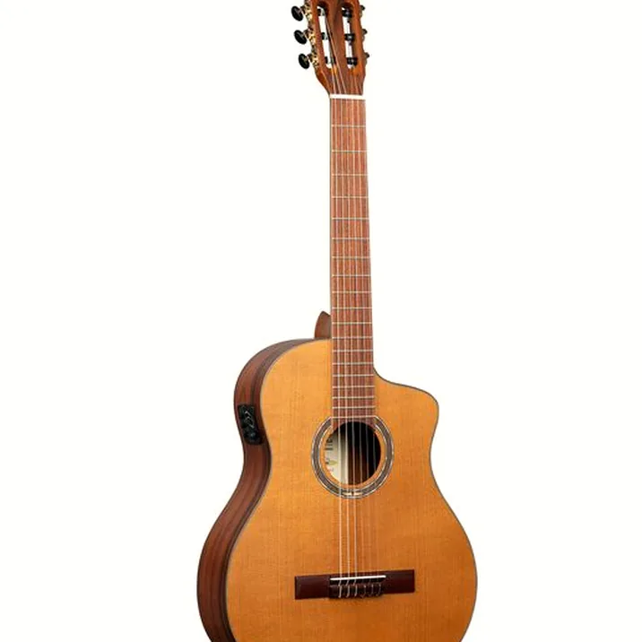 Ortega RCE24RO