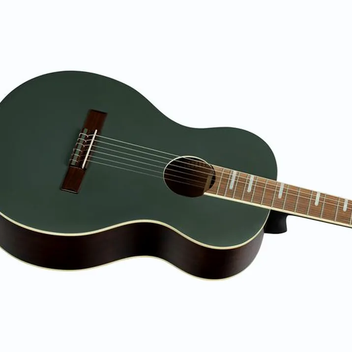 Ortega RRA-PLT Parlor Ranger Platin