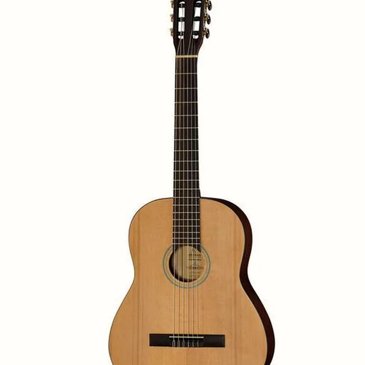 Ortega RST5M