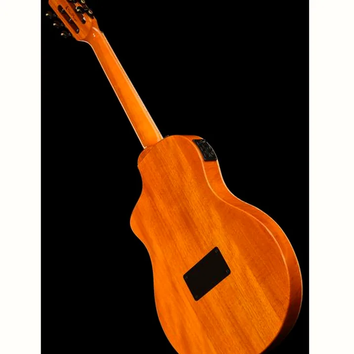 Ortega RTP-LTD