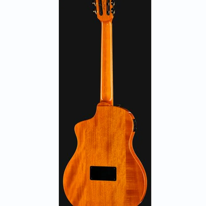 Ortega RTP-LTD