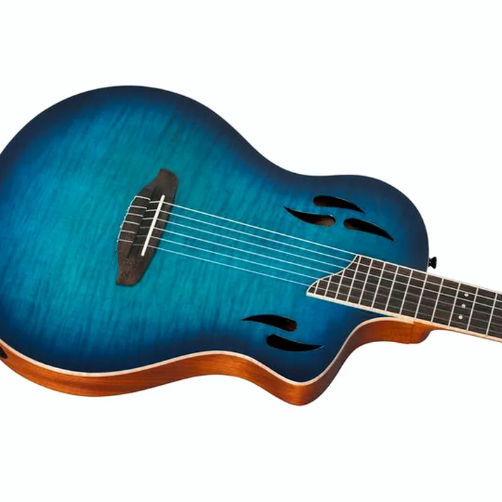 Ortega Tour Player FMA Blue