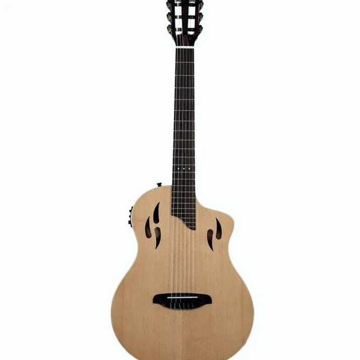Ortega Tour Player NAT