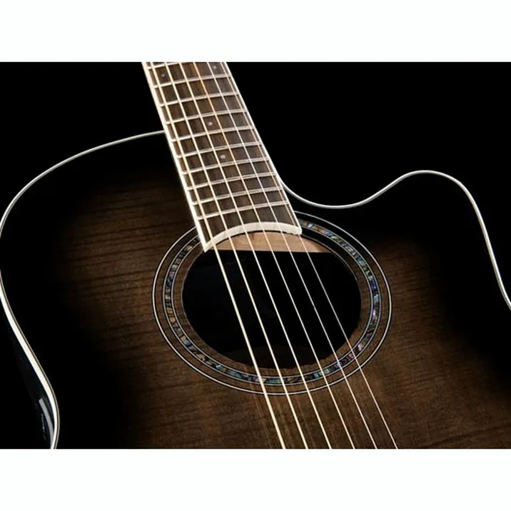 Ovation Celebrity Cs24Standard Plus Tb
