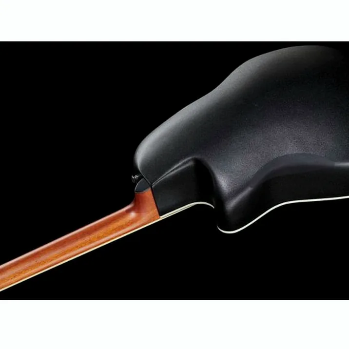 Ovation Celebrity Tradition Cs24C 5 G