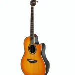 Ovation Custom Balladeer 2762BL-HB-G : ¿La mejor opción calidad-precio de Ovation?