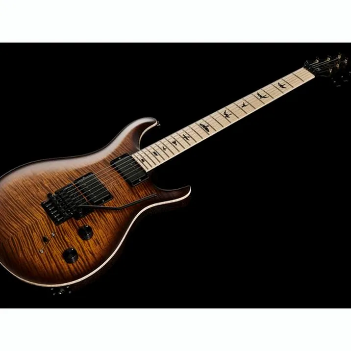 Prs Ce 24 Dustie Waring Floyd B8