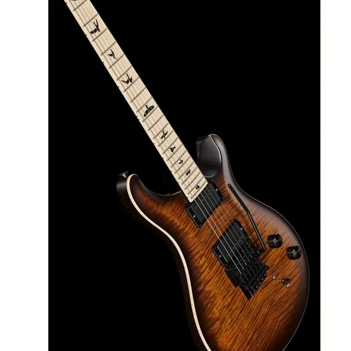 Prs Ce 24 Dustie Waring Floyd B8