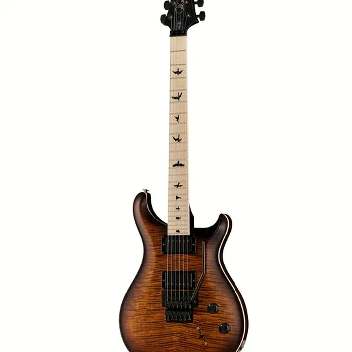 PRS CE 24 Dustie Waring Floyd B8