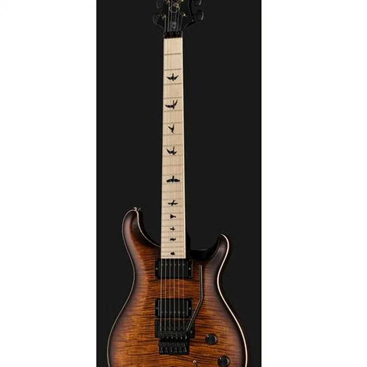 PRS CE 24 Dustie Waring Floyd B8