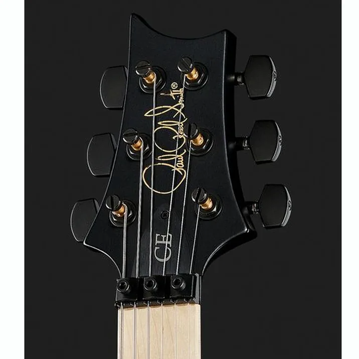 Prs Ce 24 Dustie Waring Floyd B8