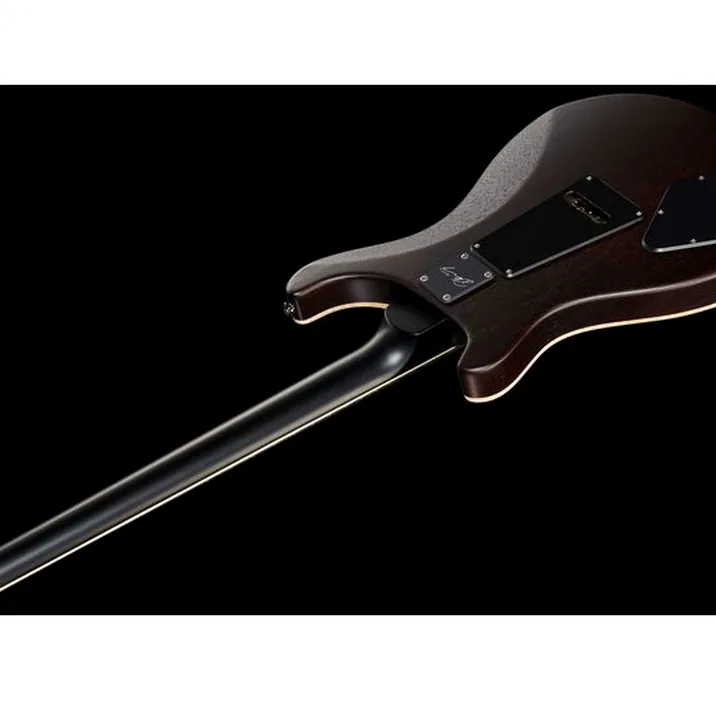Prs Ce 24 Dustie Waring Floyd B8