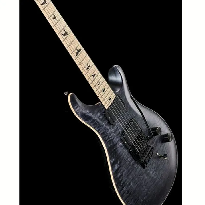 Prs Ce 24 Dustie Waring Floyd Gb