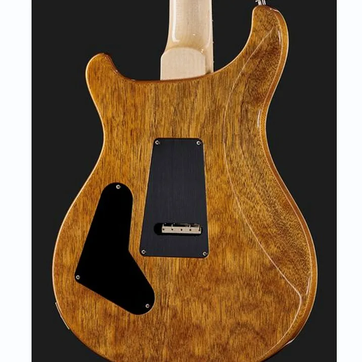 Prs Custom 24 Floyd Ch