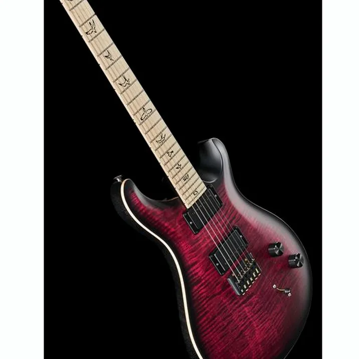 Prs Prs Ce 24 Dustie Waring Ht Za