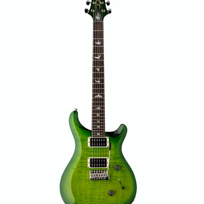 PRS S2 10th Anniv. Custom 24 ER