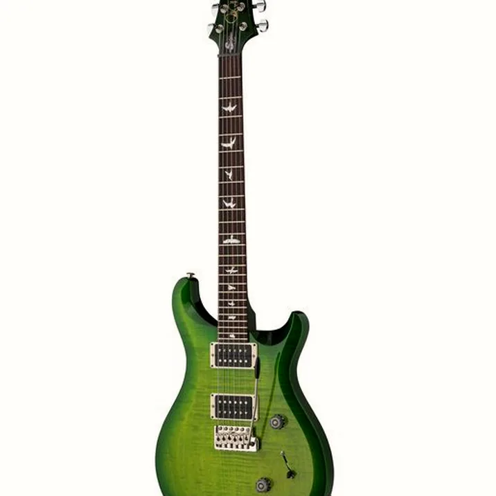 PRS S2 10th Anniv. Custom 24 ER