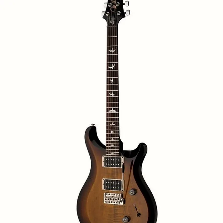 PRS S2 10th Anniv. Custom 24 KW