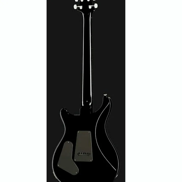 PRS S2 Custom 24 Birds EY