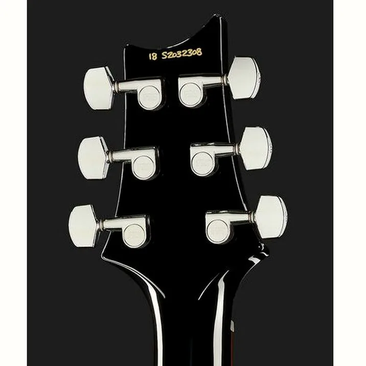 Prs S2 Custom 24 Birds Ey