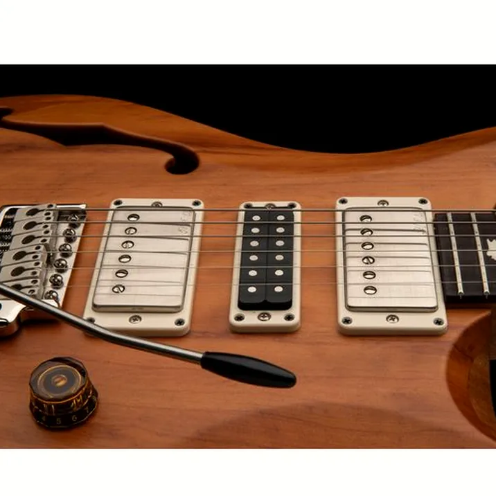 PRS S2 Special S/H Reclaimed Ltd