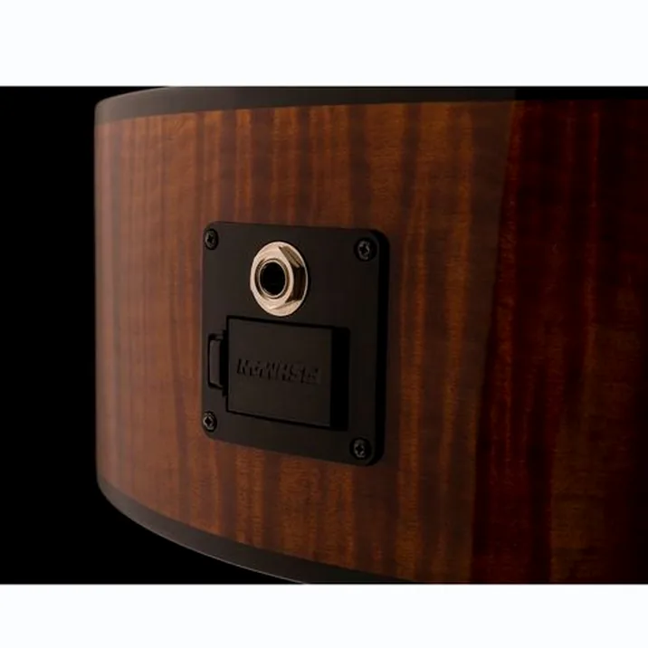 PRS SE A50E BG inc. Case