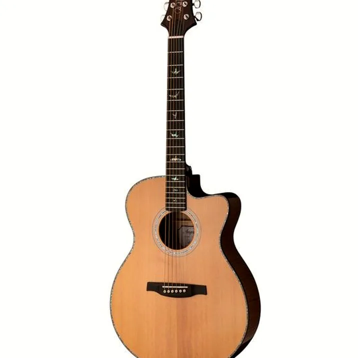 PRS SE A50E BG inc. Case
