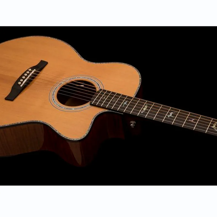 PRS SE A50E BG inc. Case
