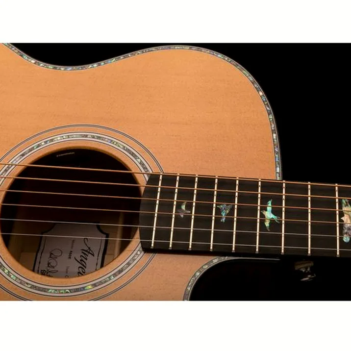 PRS SE A50E BG inc. Case
