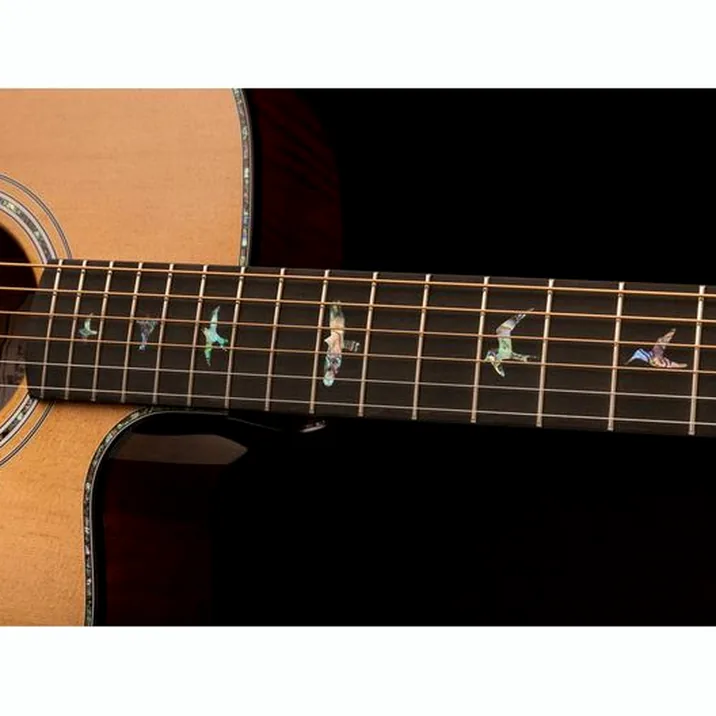 PRS SE A50E BG inc. Case