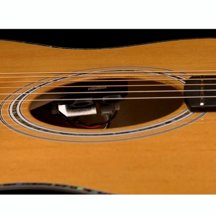PRS SE A50E BG inc. Case
