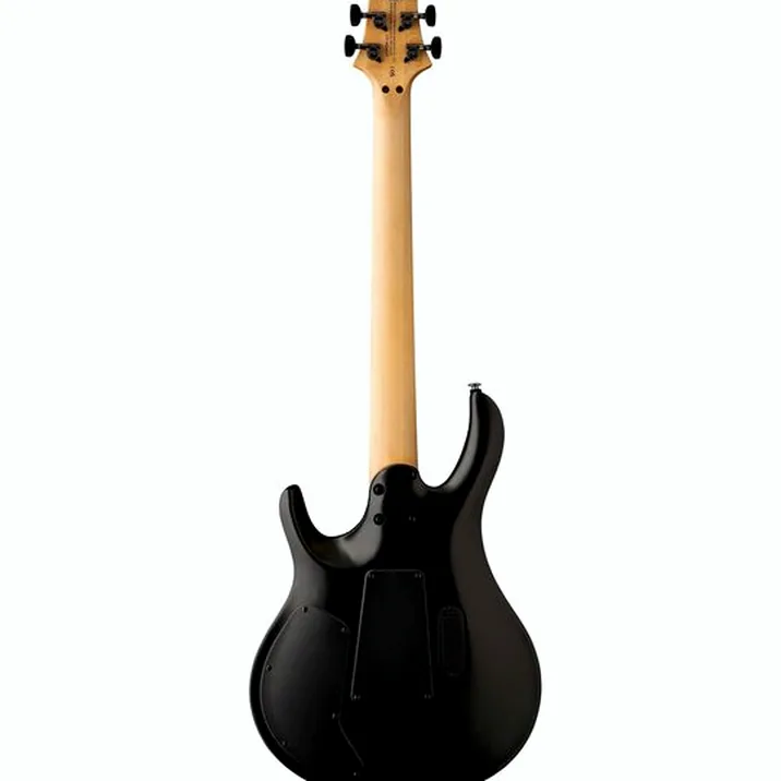 PRS SE Chleo Herman Li MB