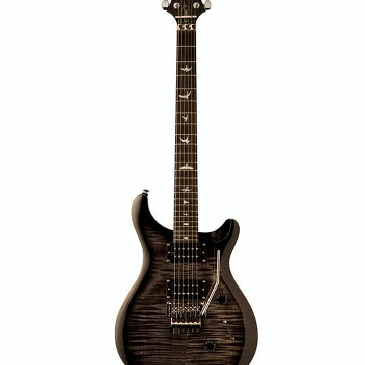 PRS SE Custom 24 Floyd CA