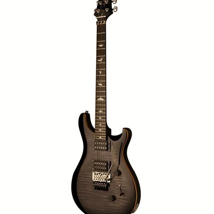 PRS SE Custom 24 Floyd CA