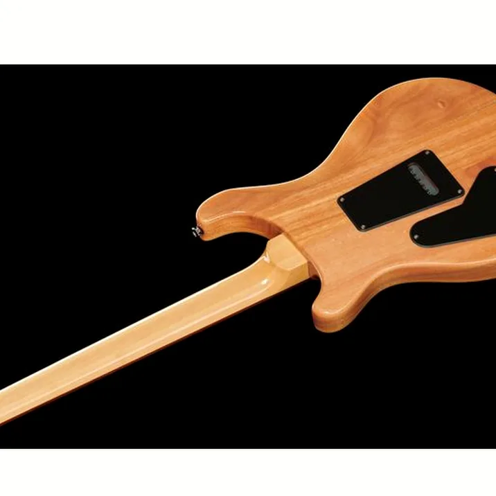 PRS SE Custom 24 TU