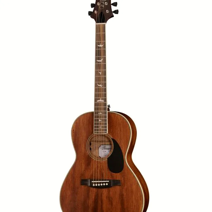 PRS SE P20E Parlour VM