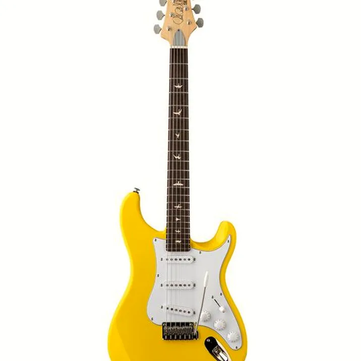 PRS SE Silver Sky Dandy Lion