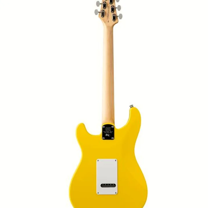 PRS SE Silver Sky Dandy Lion