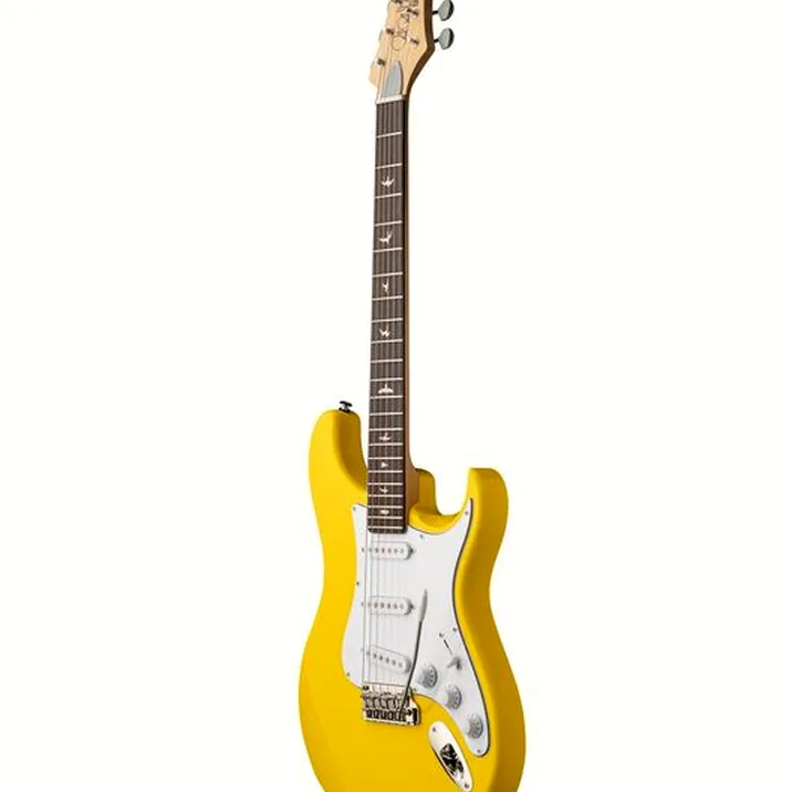 PRS SE Silver Sky Dandy Lion
