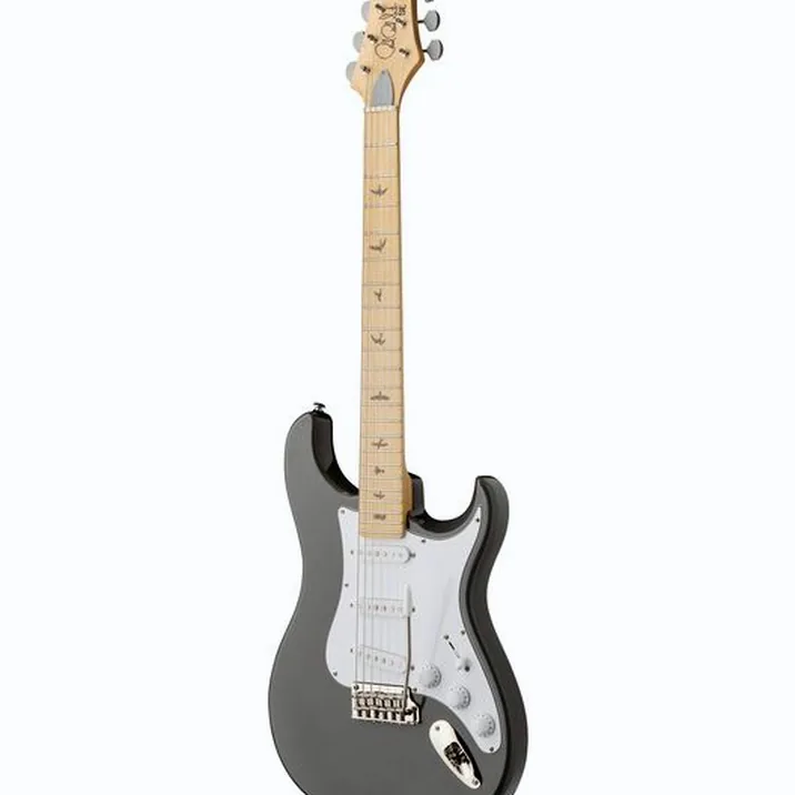 PRS SE Silver Sky Overland Gray