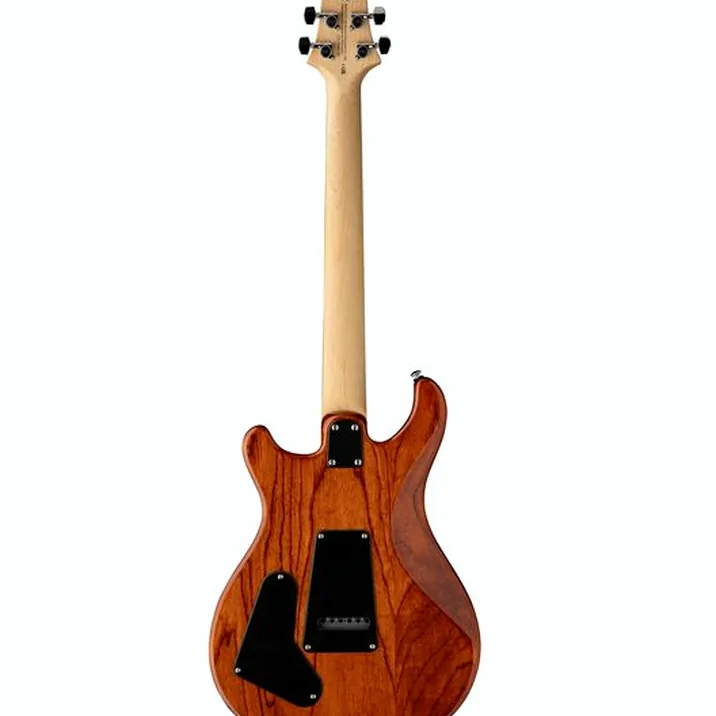 PRS SE Swamp Ash Special VS