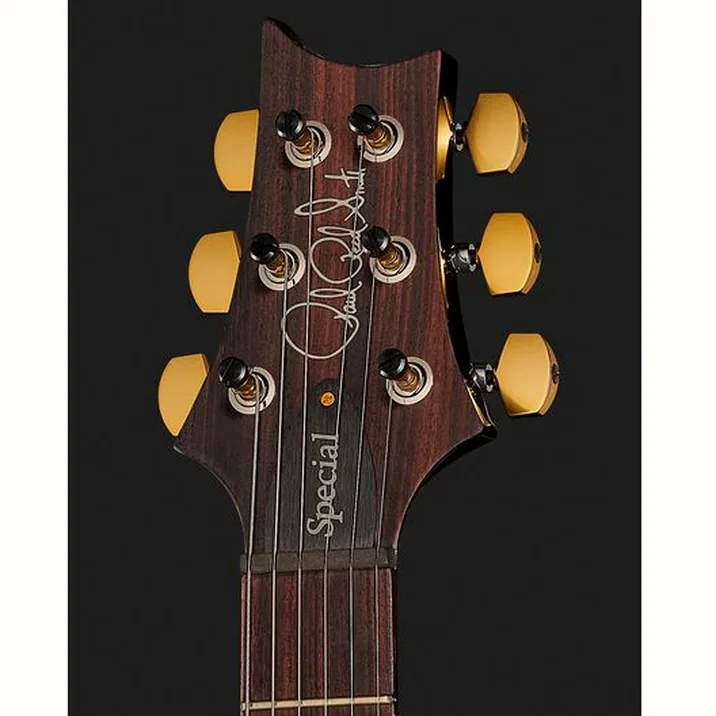 Prs Special Semi Hollow 10 Top Fw 539641