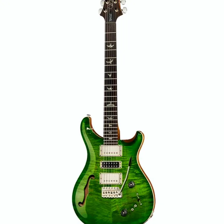 PRS Special Semi-Hollow 22 CC ER