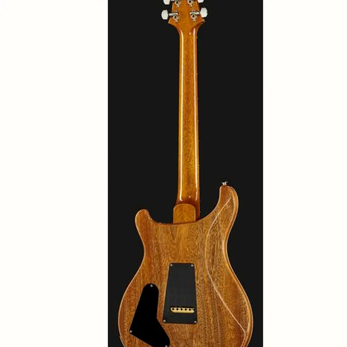 PRS Special Semi-Hollow 22 CC ER