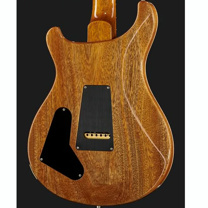 Prs Special Semi Hollow 22 Cc Er