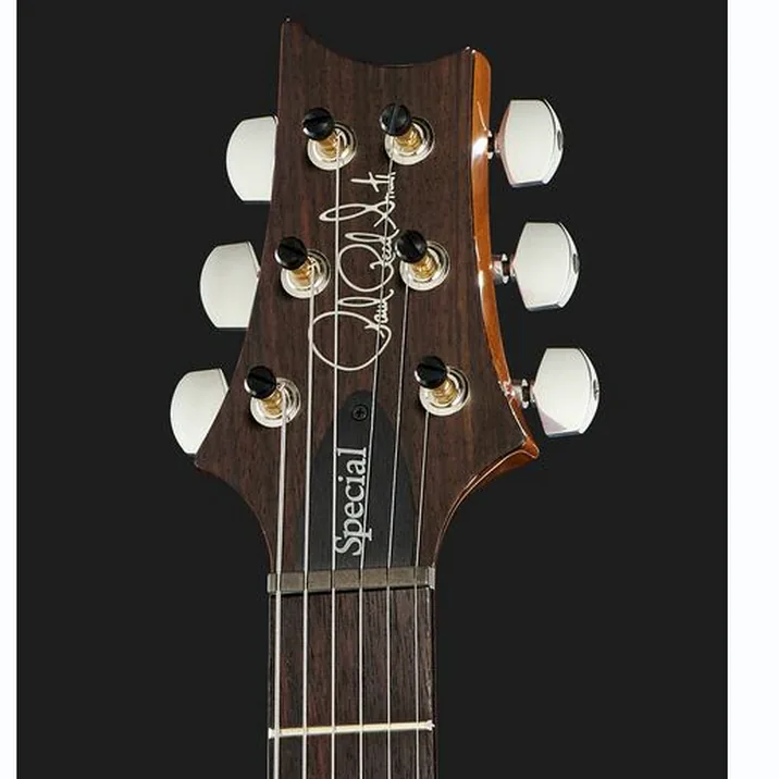 Prs Special Semi Hollow 22 Cc Er