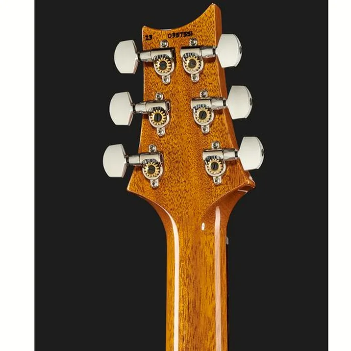 Prs Special Semi Hollow 22 Cc Er